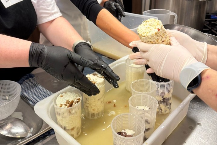 People making cheese in molds over a tray with liquid.