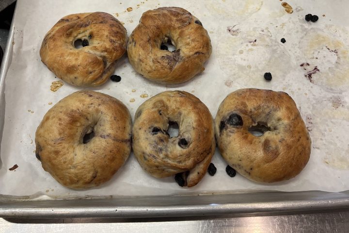 Two trays of freshly baked bagels, some with blueberries, on parchment paper.